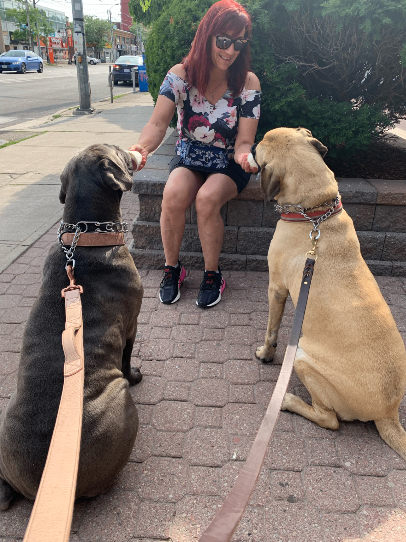 David's wife giving pup cups to their two dogs on the sidewalk